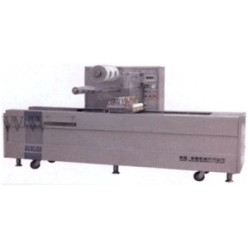 Вакуумный упаковщик DZQ-210HS Вакуумный упаковщик DZQ-210HS