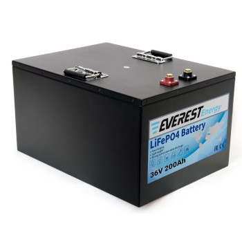 Литий-железо-фосфатный аккумулятор Everest Energy LFP-36V200А Литий-железо-фосфатный аккумулятор Everest Energy LFP-36V200А