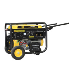 Генератор сварочный TOR TR220W 5,0кВт 220В 25л с ручным запуском и колесами Генератор сварочный TOR TR220W 5,0кВт 220В 25л с ручным запуском и колесами