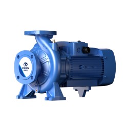 Консольно-моноблочный фланцевый насос PSTG 65-250/220 (N)
