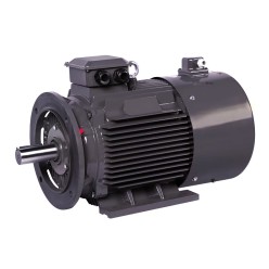 Электродвигатель ET-JPM250M15-55 B5 (55 кВт, 1500 об.мин., IEC/DIN, IP55)