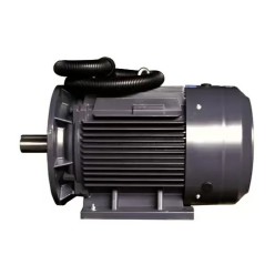 Электродвигатель компрессора KraftMachine КМ110 (110кВт, 3000 об.мин, IEC/DIN, IE2/IE3, IP55)