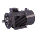 Электродвигатель ET-JPM250M30-75 B35 (75 кВт, 3000 об.мин., IEC/DIN, IP55)