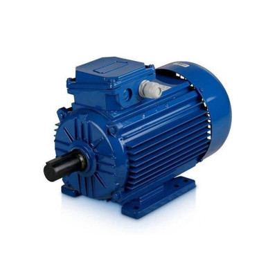 Электродвигатель АИС100L2У2-220/380-50IM2081 К31ААА IE1 Э-5 для REMEZA 4042300304 Электродвигатель АИС100L2У2-220/380-50IM2081 К31ААА IE1 Э-5 для REMEZA 4042300304