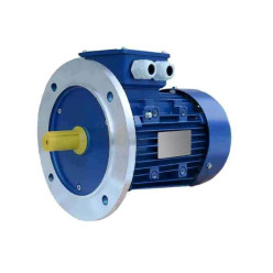 Электродвигатель 5АИ / АИР 112 М4 5.5/1500 IM 3081 Электродвигатель 5АИ / АИР 112 М4 5.5/1500 IM 3081