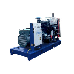 Дизельный генератор ТСС АД-50С-Т400-1РМ20 (Mecc Alte) Дизельный генератор ТСС АД-50С-Т400-1РМ20 (Mecc Alte)