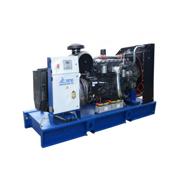 Дизельный генератор ТСС АД-200С-Т400-1РМ20 (Mecc Alte) Дизельный генератор ТСС АД-200С-Т400-1РМ20 (Mecc Alte)