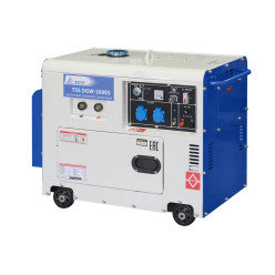 Дизельный сварочный генератор в кожухе TSS DGW-200ES Дизельный сварочный генератор в кожухе TSS DGW-200ES