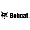 Bobcat